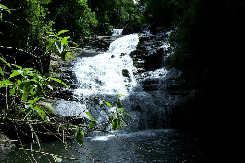 Terra Do Sempre - Reserva Ambiental Hotel São Francisco de Paula Kültér fotó