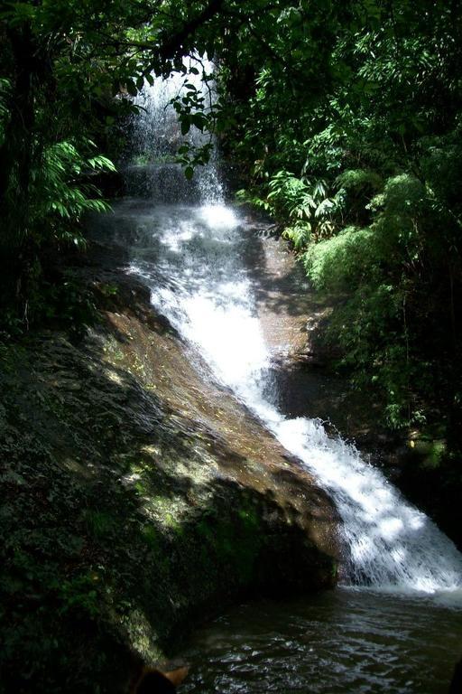 Terra Do Sempre - Reserva Ambiental Hotel São Francisco de Paula Kültér fotó
