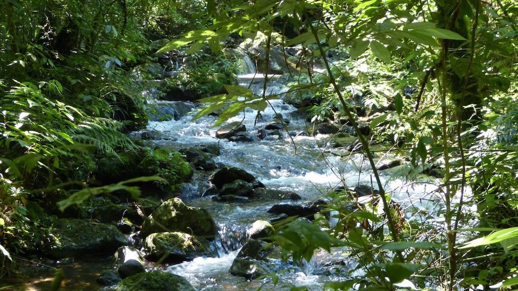 Terra Do Sempre - Reserva Ambiental Hotel São Francisco de Paula Kültér fotó